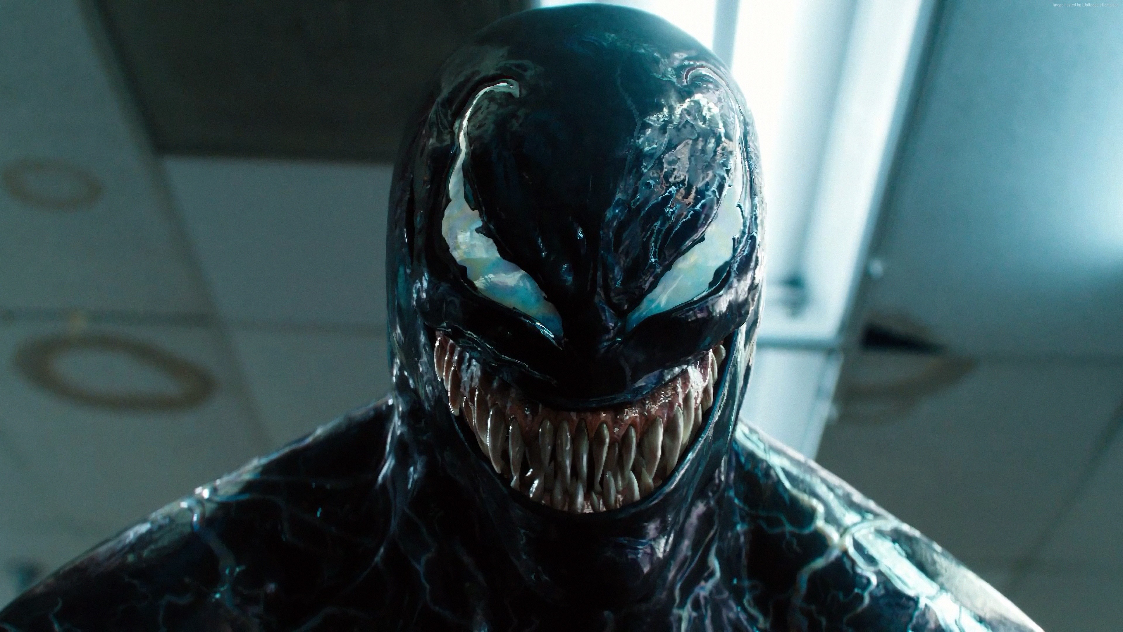 Venom movie HD wallpaper for desktop background.