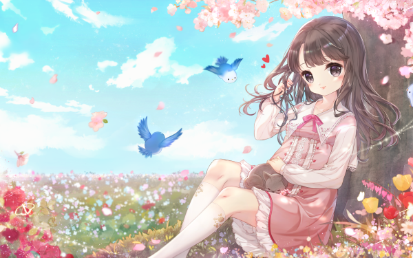 Anime Original Long Hair Brown Hair Brown Eyes Cat Flower bow Cherry Blossom HD Wallpaper | Background Image