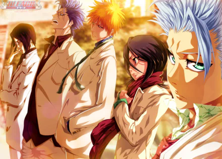 Bleach anime 2K Quad HD PC wallpaper: Ichigo Kurosaki, Rukia Kuchiki, Tōshirō Hitsugaya, Uryu Ishida and Grimmjow Jaegerjaquez standing side-by-side in warm sunset light.