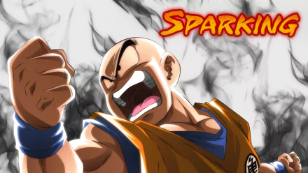 Krillin (Dragon Ball) Anime Dragon Ball Super HD Desktop Wallpaper | Background Image