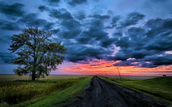 Man Made Road Tree Sunset Sky Dirt Road HD Wallpaper | Background Image