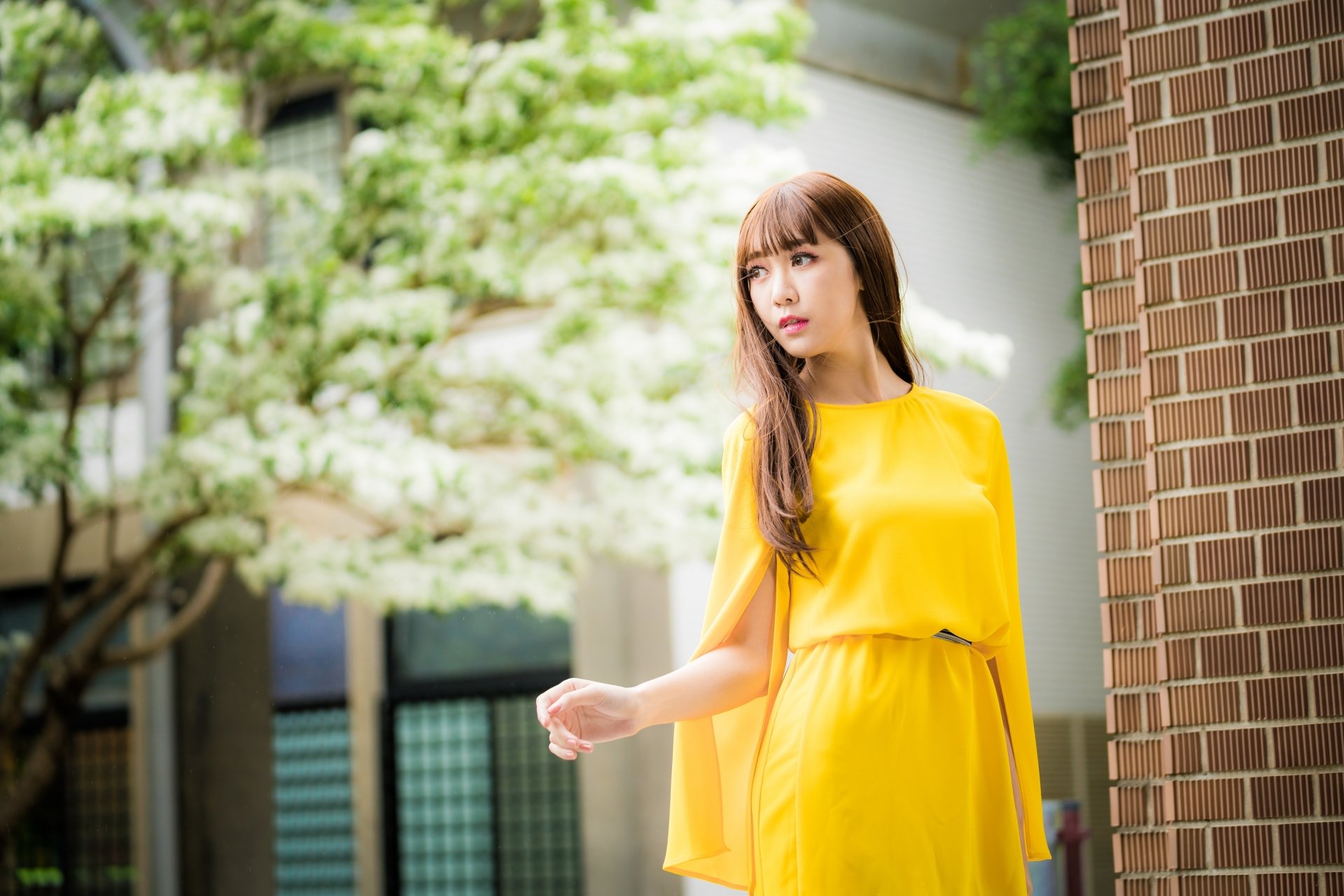 Download Long Hair Brunette Depth Of Field Yellow Dress Model Woman ...