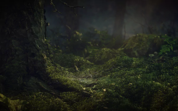 video game Unravel Two HD Desktop Wallpaper | Background Image