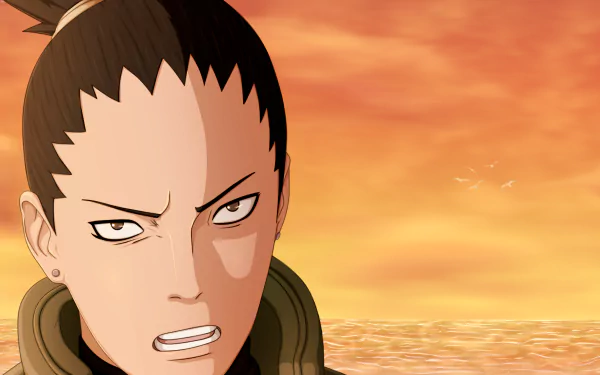 Shikamaru Nara Anime Naruto HD Desktop Wallpaper | Background Image