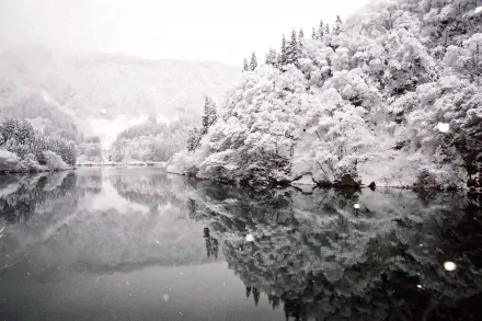 HD desktop wallpaper showcasing a serene winter landscape with snow-covered trees reflecting on a calm lake, embodying the beauty of nature.