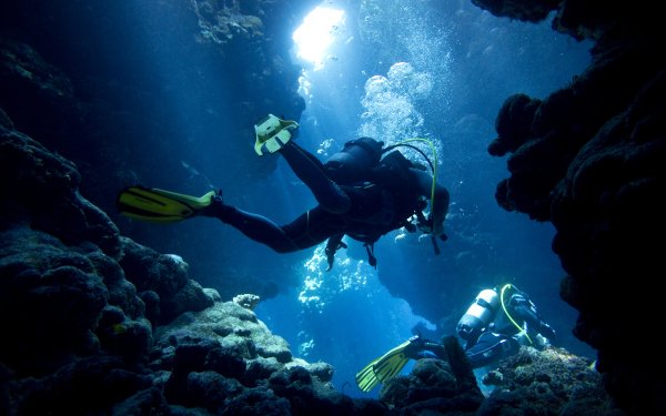 Sports Scuba diving Scuba Diver Underwater Coral HD Wallpaper | Background Image