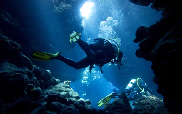 coral underwater scuba diver scuba diving Sports HD Desktop Wallpaper | Background Image
