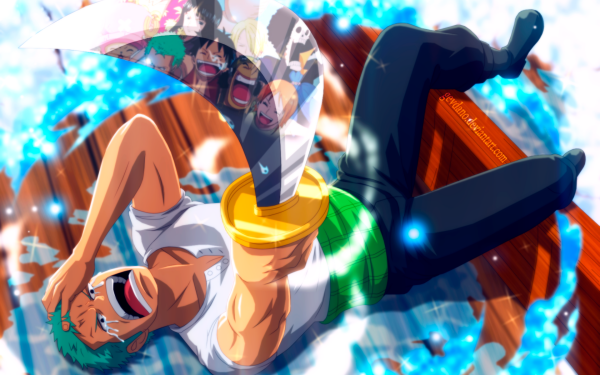 Anime One Piece Roronoa Zoro Nami Brook Tony Tony Chopper Nico Robin Monkey D. Luffy Sanji Usopp HD Wallpaper | Background Image