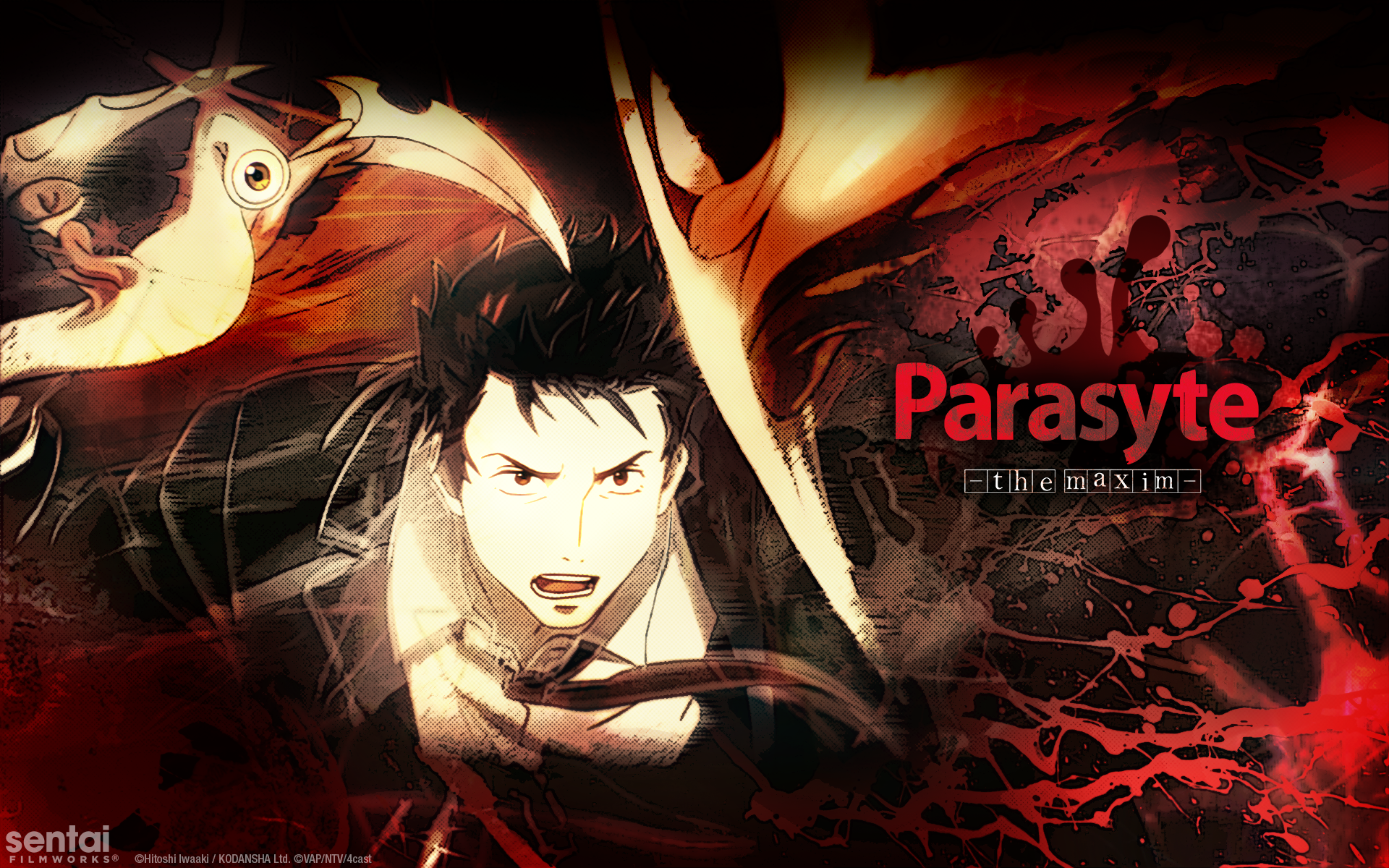 Anime Parasyte -the maxim- HD Wallpaper Background Image. 