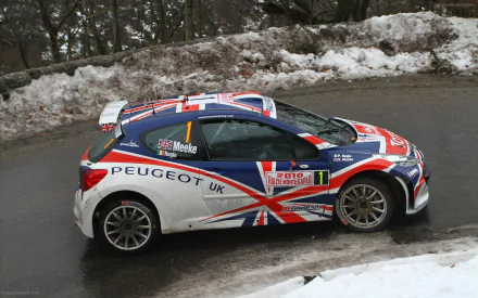  Peugeot 207 WRC