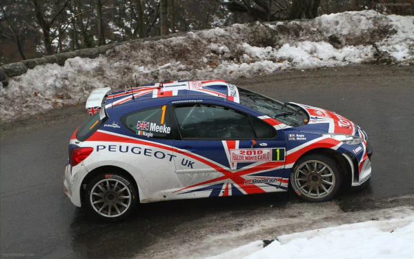  Peugeot 207 WRC