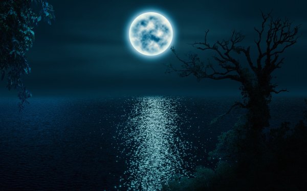 Artistic Moon Tree Water HD Wallpaper | Background Image