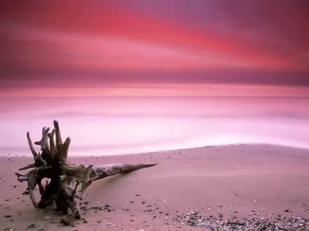 pastel nature beach HD Desktop Wallpaper | Background Image