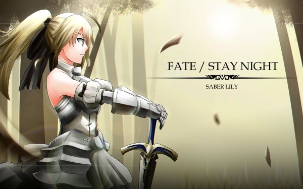 Anime Fate/unlimited codes Fate Series Saber HD Wallpaper | Background Image