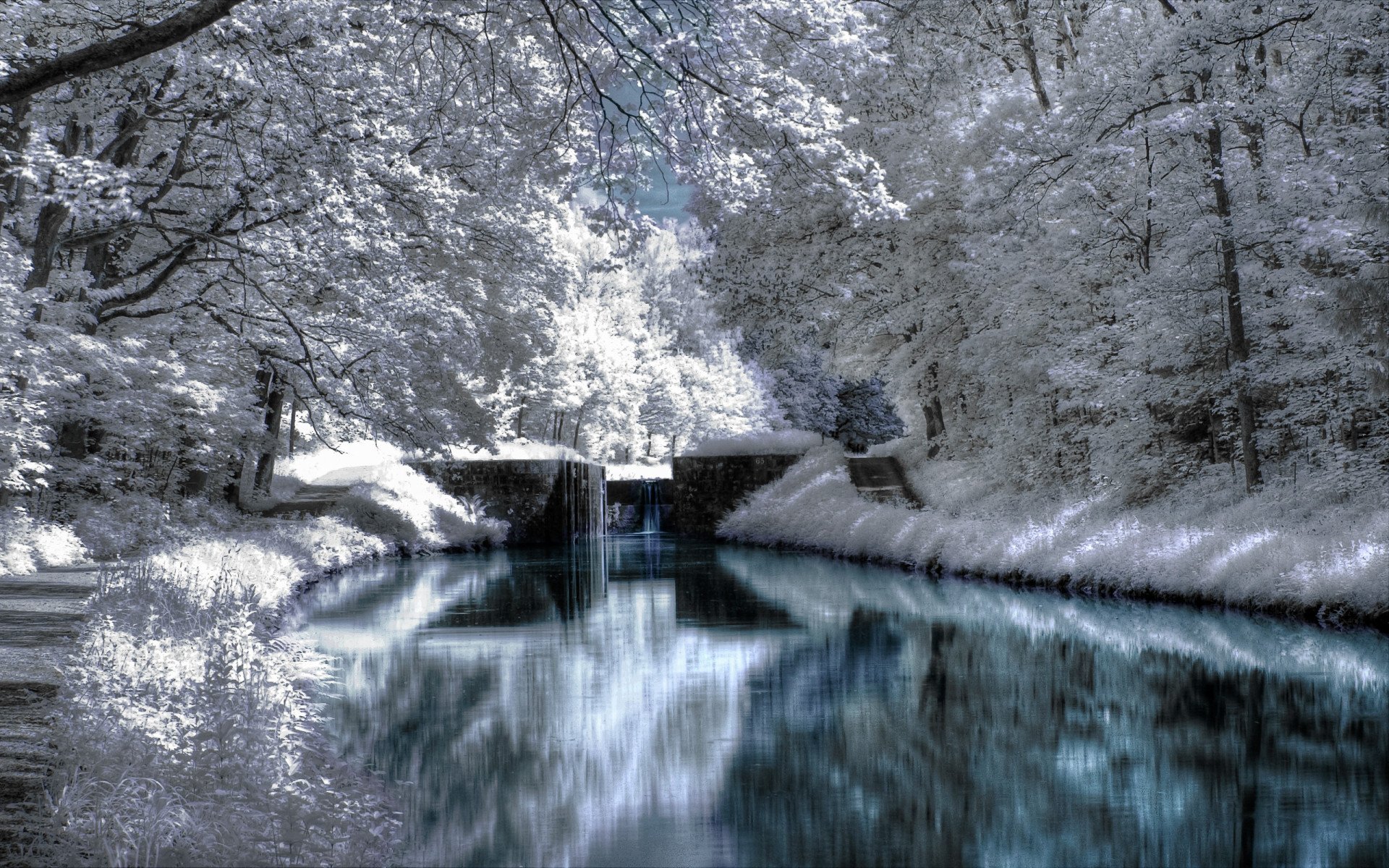 A serene winter scene featuring a calm, reflective river surrounded by snow-covered trees and a distant bridge, creating a tranquil atmosphere for a nature-inspired HD wallpaper.