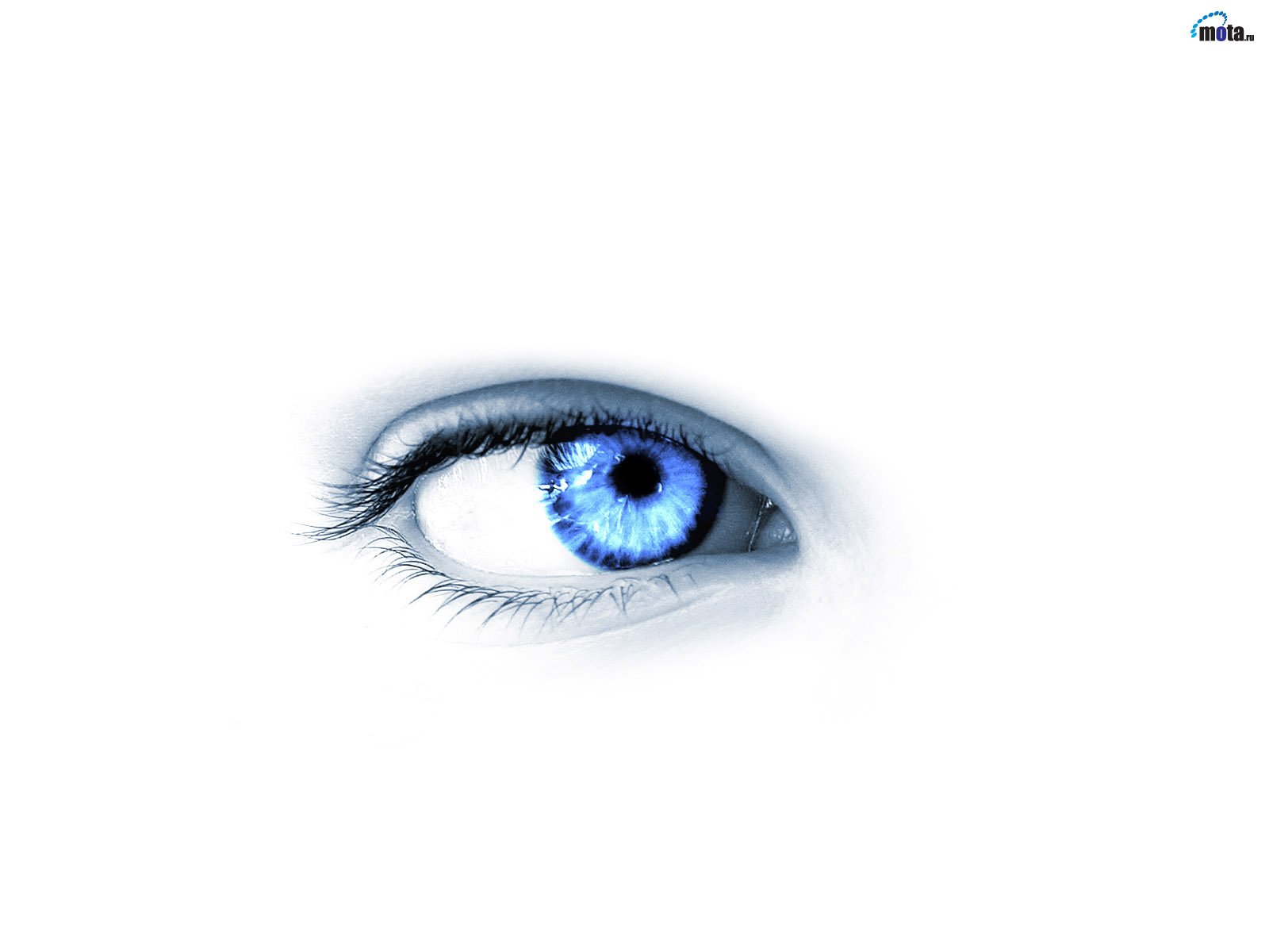 Artistic close-up of a striking blue eye against a white background, designed as a HD PC desktop wallpaper and background.