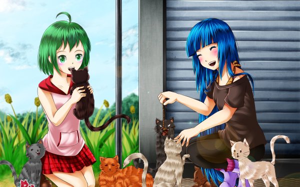 Anime Original Cat Blue Hair Green Hair Green Eyes HD Wallpaper | Background Image