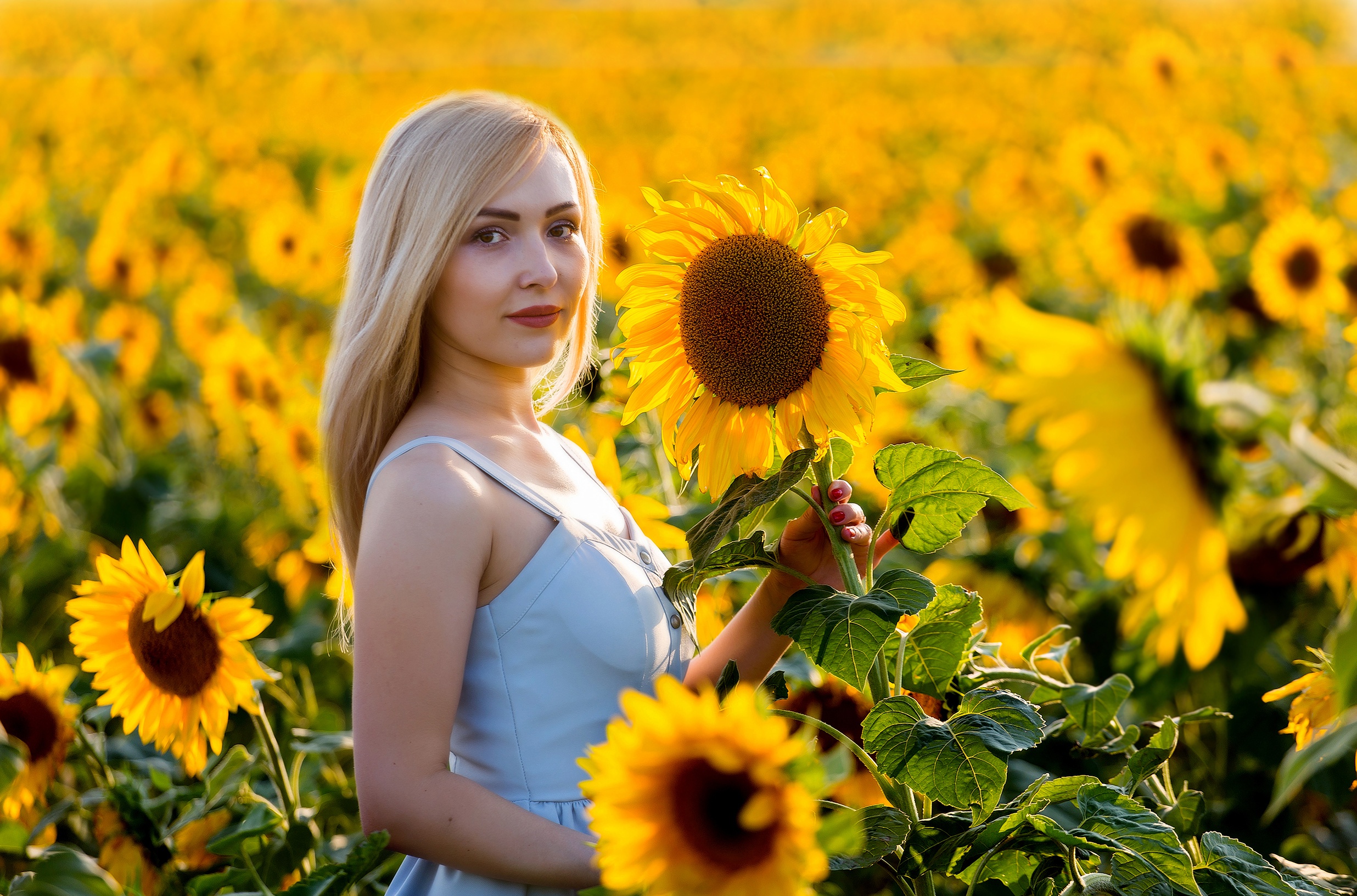 Woman standing in a field of sunflowers