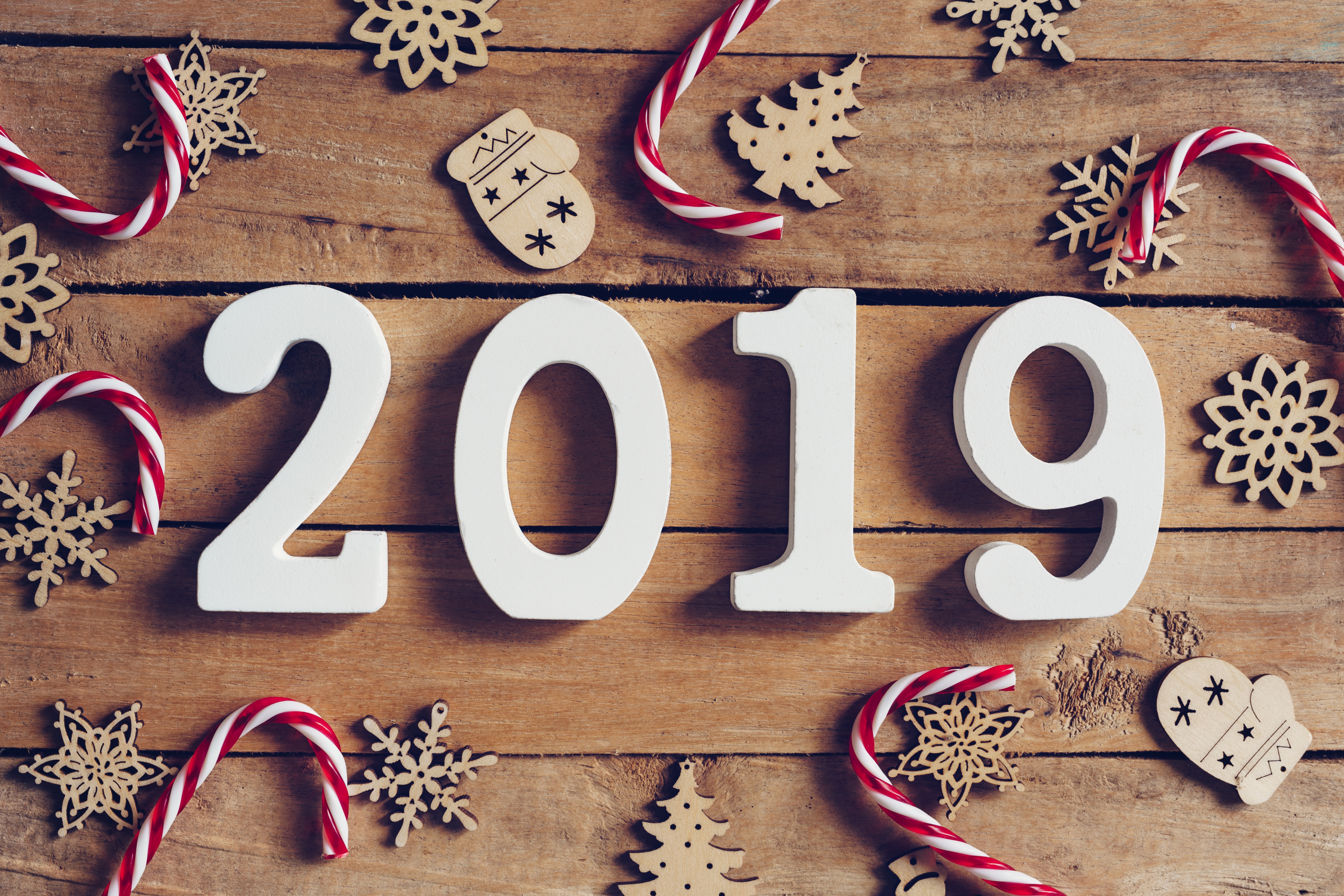 Holiday New Year 2019 HD Wallpaper | Background Image