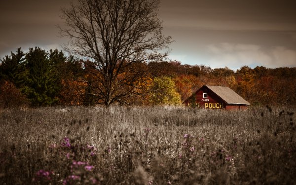 Man Made Barn Fall Meadow HD Wallpaper | Background Image