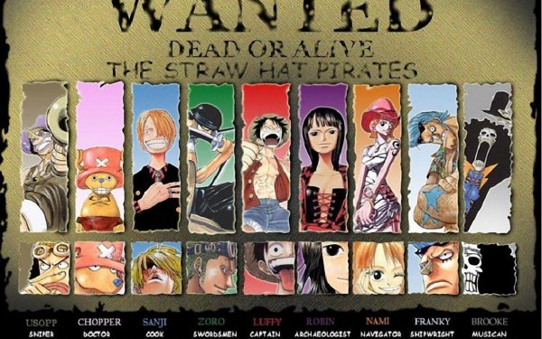 Anime One Piece Usopp Sanji Monkey D. Luffy Nami Franky Tony Tony Chopper Brook Roronoa Zoro Nico Robin Fondo de pantalla HD | Fondo de Escritorio