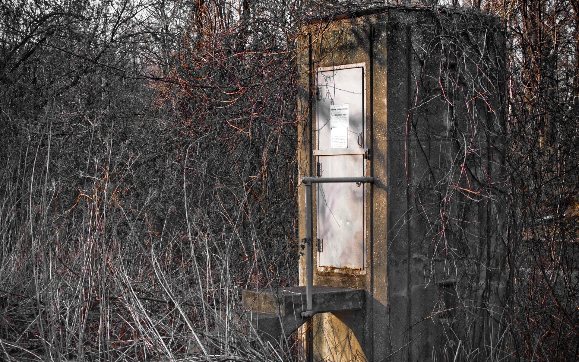 4K Ultra HD image of a man-made gauging station building standing amidst dense, leafless trees in a natural, quiet setting.