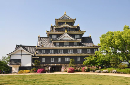 man made Okayama Castle HD Desktop Wallpaper | Background Image