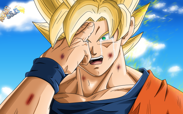Anime Dragon Ball Z Dragon Ball Goku HD Wallpaper | Background Image