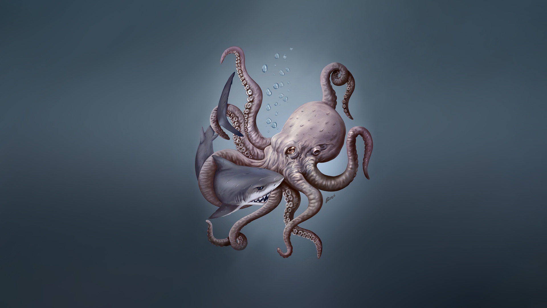 Octopus HD Wallpaper