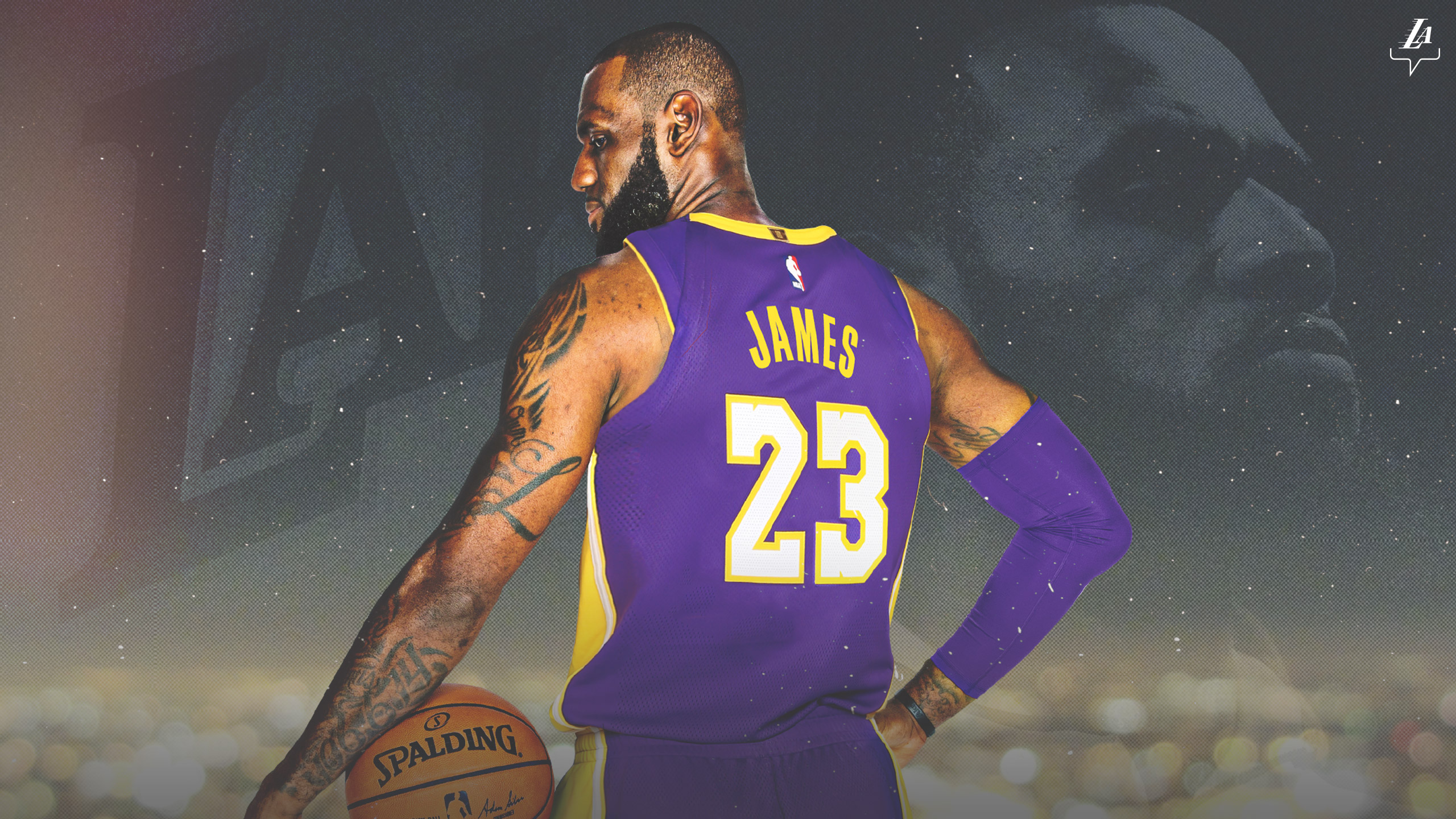 LeBron James - LA Lakers HD Wallpaper | Background Image | 2560x1440