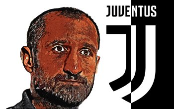 9 Giorgio Chiellini Hd Wallpapers Background Images Wallpaper Abyss