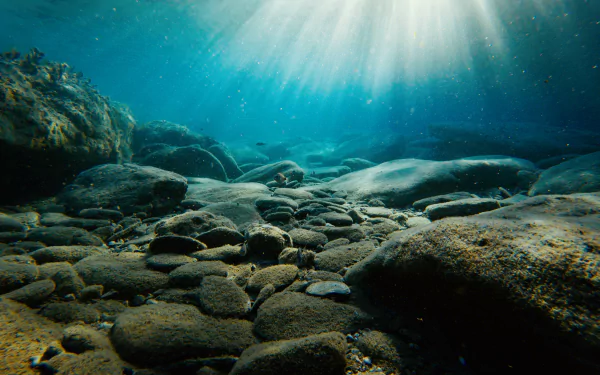 photography underwater HD Desktop Wallpaper | Background Image