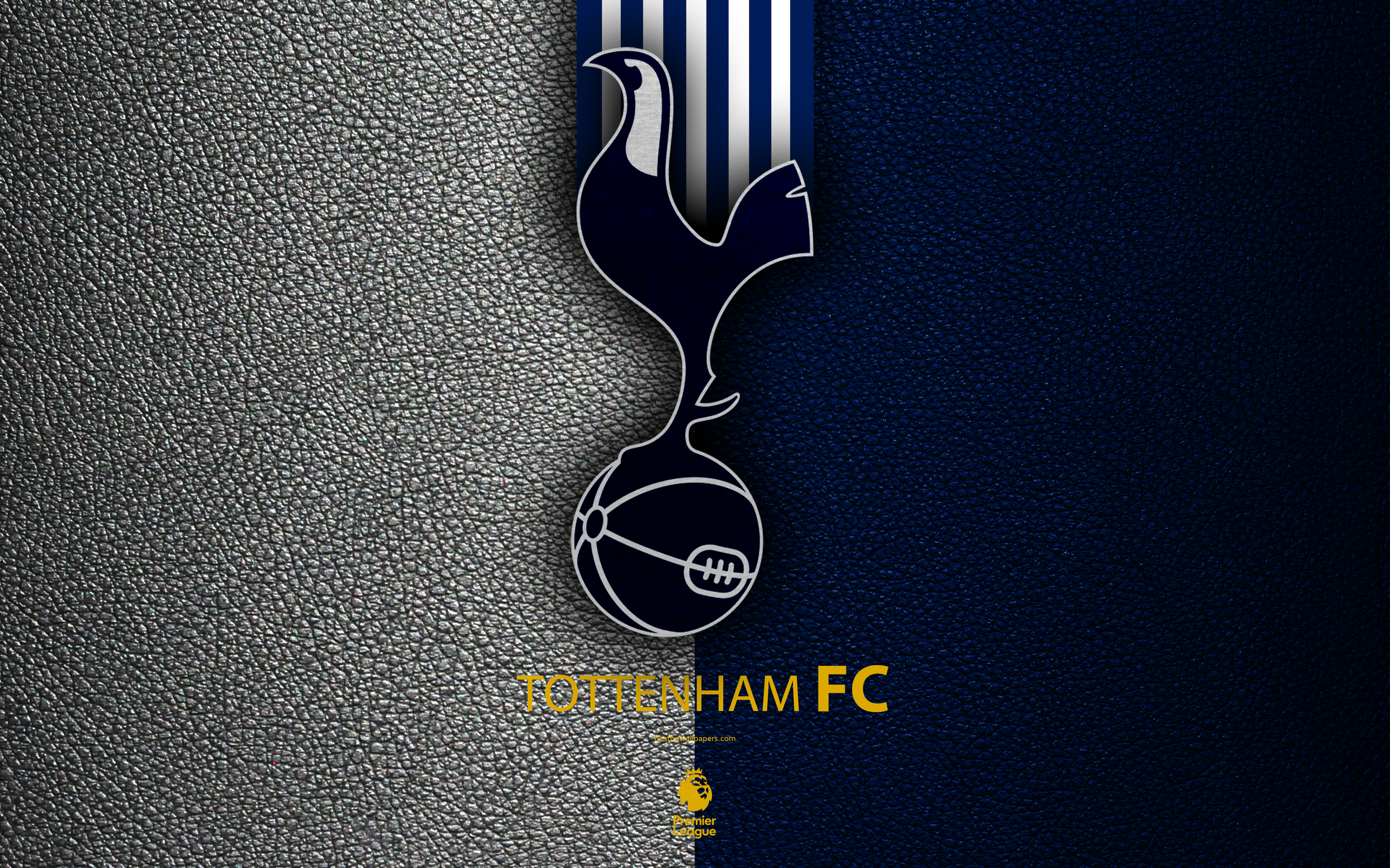 Sports Tottenham Hotspur F.C. HD Wallpaper | Background Image