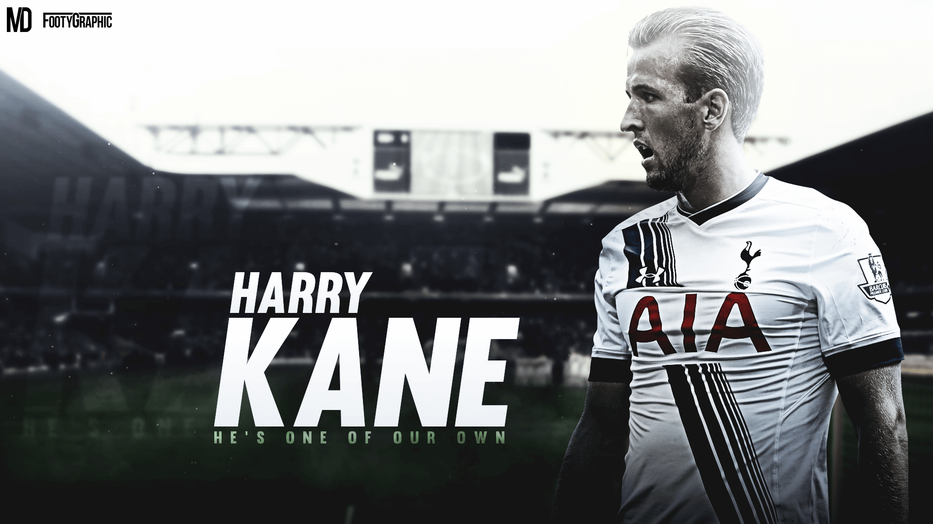 Sports Harry Kane HD Wallpaper | Background Image