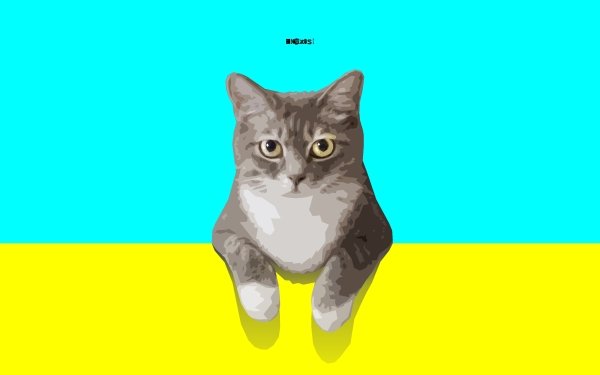 Animal Cat Simple Minimalist Cyan Yellow HD Wallpaper | Background Image