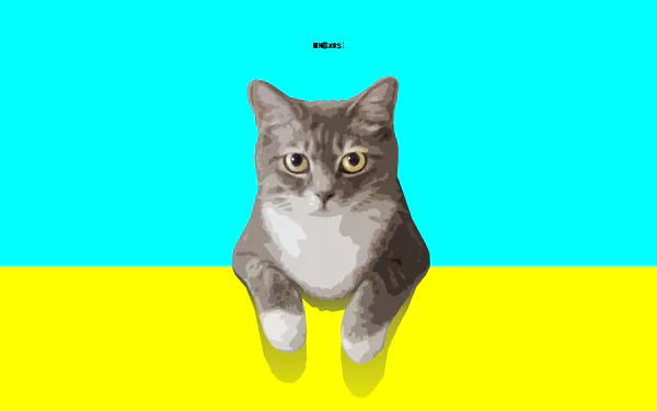  Cute Cat
