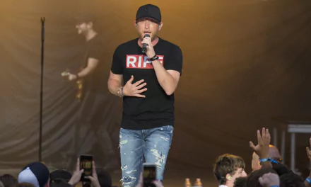 HD wallpaper of a performer on stage singing to an audience, serving as a desktop background.