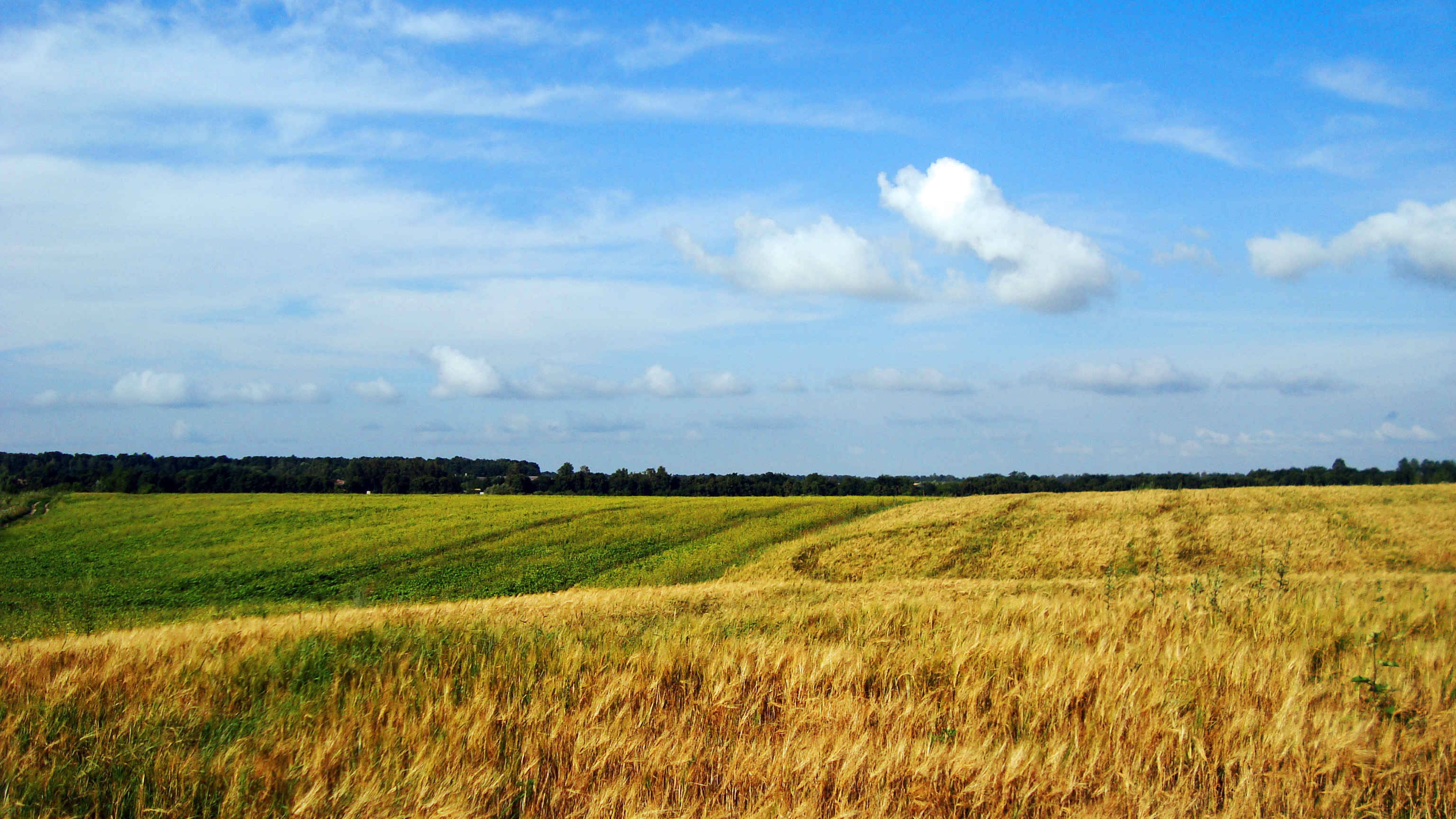 ukraine landscape wallpaper