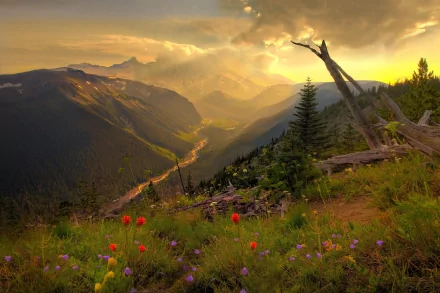 HD desktop wallpaper of a sunrise over a breathtaking landscape with vibrant flowers in the foreground, lush grass, and expansive valleys in the distance, capturing the serene beauty of nature.