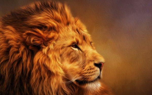 Animal Lion Cats Oil Painting HD Wallpaper | Background Image