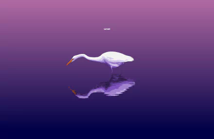 Purple minimalist 2K Quad HD PC desktop wallpaper: a simple scene of a white egret (bird, animal) wading in still water with a crisp reflection.