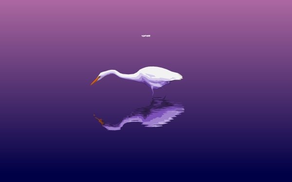 Animal Egret Birds Egrets Bird Water Reflection Simple Minimalist Purple HD Wallpaper | Background Image