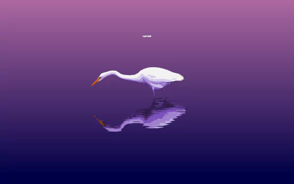 Purple minimalist 2K Quad HD PC desktop wallpaper: a simple scene of a white egret (bird, animal) wading in still water with a crisp reflection.