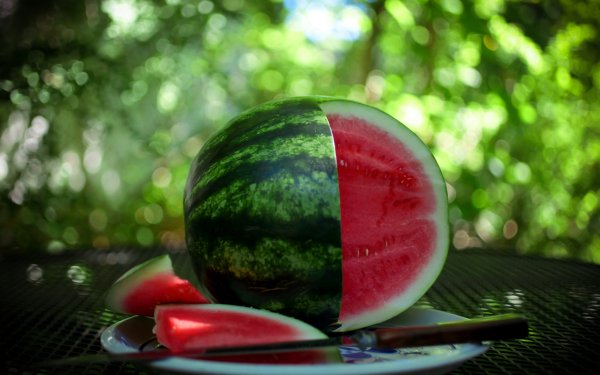 Food Watermelon Fruits HD Wallpaper | Background Image