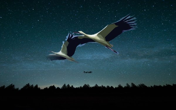 Animal Stork Birds Storks Bird Wings Sky Nature HD Wallpaper | Background Image