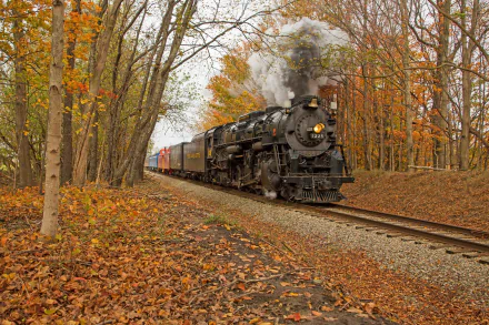 An HD desktop wallpaper of a steam train emitting smoke as it travels on tracks through a forest adorned with vibrant fall foliage.
