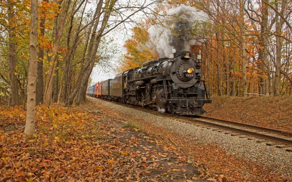 An HD desktop wallpaper of a steam train emitting smoke as it travels on tracks through a forest adorned with vibrant fall foliage.