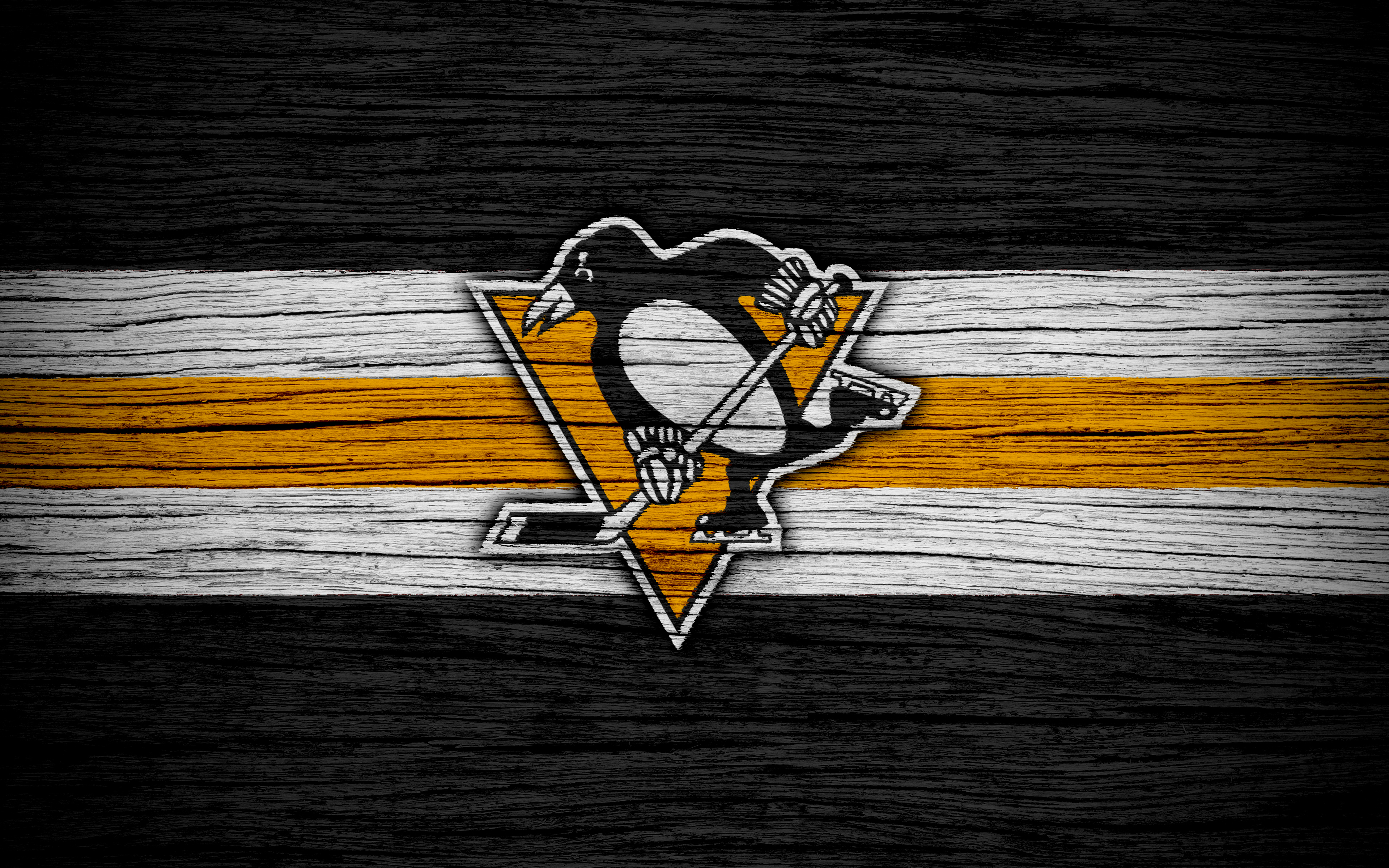 Pittsburgh Penguins 4k Ultra HD Wallpaper | Background ...