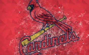 Download Red Bird St Louis Cardinals Wallpaper