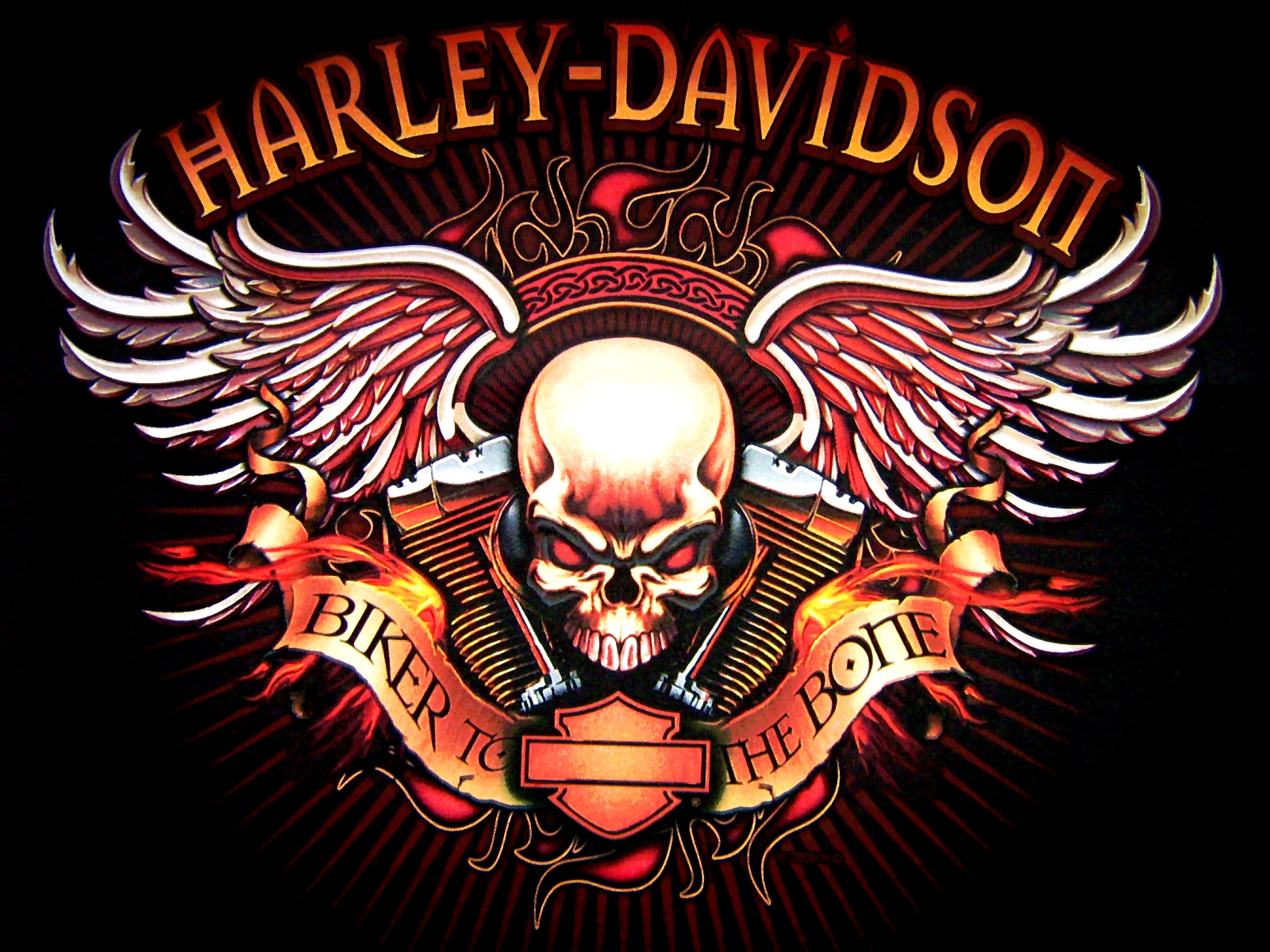 Harley-Davidson Wallpaper and Background Image | 1600x1200 | ID:98456